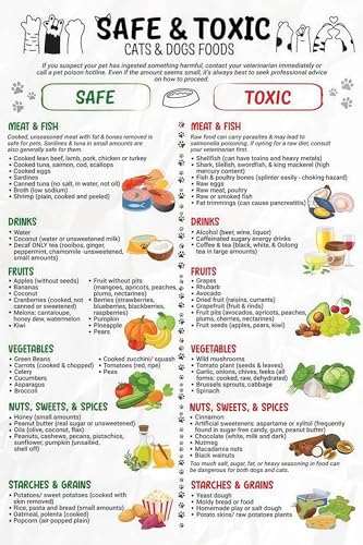 Pet Nutrition Guide Poster - Safe Foods vs Toxic Foods for Dogs and Cats, Essential Diet Chart for Responsible Owners​(Framed,16x24inch(40x60cm)) — Pet Supplies review