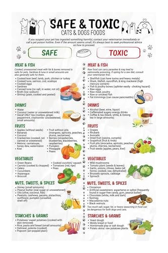 Dog and Cat Nutrition Chart, Safe vs Toxic Foods List, Preventive Care Health Poster for Pet Owners and Vet Offices​(Framed,16x24inch(40x60cm)) — Pet Supplies review