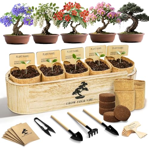 Bonsai Tree Kit for Beginners - Unique DIY Japanese Bonsai Trees,Crafts for Adults, Ideal Gardening Birthday Gift for Women & Men,Complete Indoor Plant Kit — Patio, Lawn & Garden review