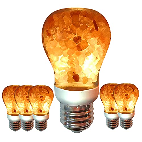 Himalayan Glow Salt Lamp LED Light Bulbs 60-Watt Equivalent, Warm Amber Glow, Dimmable E26 Edison light bulb for Decor, Homes, Offices, Kitchen, 6 Pcs — Kitchen & Dining review