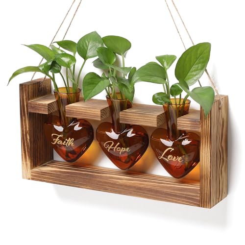 Plant Terrarium Propagation Stations Faith Hope Love Hydroponics Home Garden Decoration Gift for Women with Wooden Stand Heart Shaped Colored Glass Vase — Patio, Lawn & Garden review