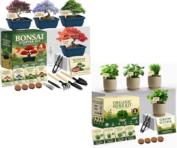HOME GROWN Bonsai Tree Starter Kit – Unique Christmas Gift for Adults, Men, Women - Grow 4 Bonsais & Indoor Organic Herb Garden Kit – Unique Christmas Gift for Adults, Men, & Women - Grow 4 Herb Seeds — Patio, Lawn & Garden review