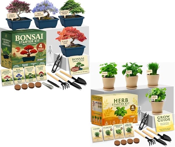 HOME GROWN Bonsai Tree Starter Kit – Unique Christmas Gift for Adults, Men, Women - Grow 4 Bonsais & HOME GROWN Herb Garden Planter Indoor Kit – Unique Christmas Gift for Adults, Men, & Women - Grow 4 — Patio, Lawn & Garden review