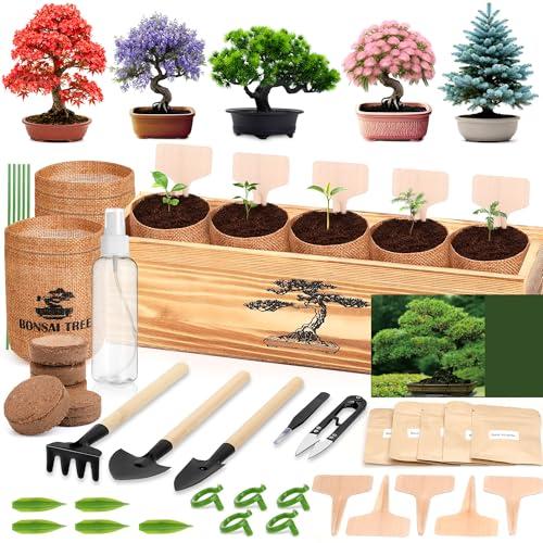 5 Pack Bonsai Tree Kit - 5 Seeds Growing Plant Bonsai Tree Live Kit for Beginners, Easy to Grow Complete Indoor Garden Starter Kits with Wooden Box & Tools, Christmas Gifts for Men Women Plant Lover β Patio, Lawn & Garden review