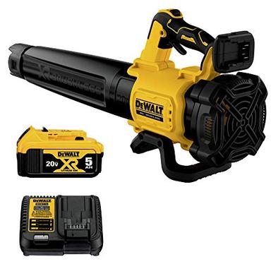 DEWALT 20V MAX XR DCBL722P1